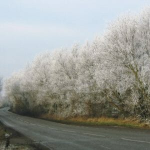 E - 1241 Pavement Design in Seasonal Frost Conditions