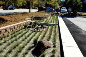 E - 3016 Bioretention Design: Performance, Longevity, and Sustainability