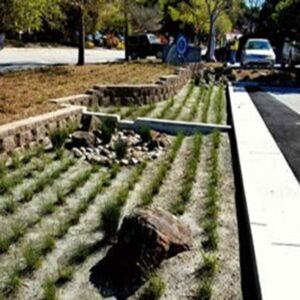 E - 3016 Bioretention Design: Performance, Longevity, and Sustainability