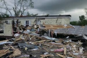 E - 3014 Designing Disaster Resilient Buildings to Minimize Debris