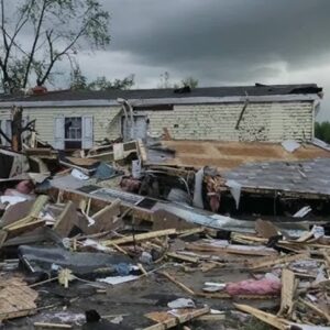 E - 3014 Designing Disaster Resilient Buildings to Minimize Debris