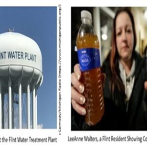 [Live Webinar] Engineering Ethics: Lessons from the Flint Water Crisis — When Public Safety Was Not Held Paramount
